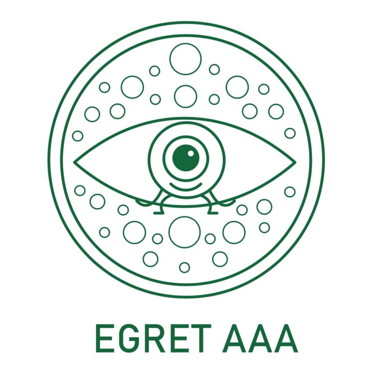 EU training program EGRET-AAA awarded
